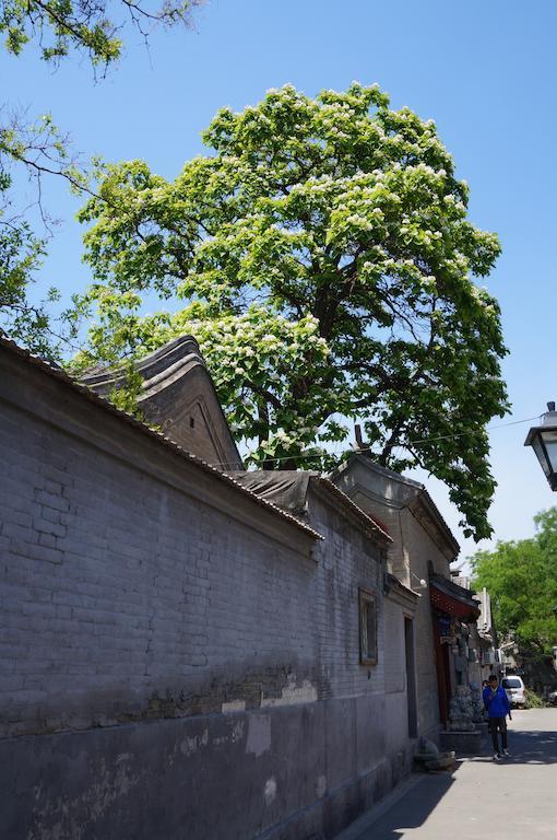 Songy Hundred-Year Courtyard Hotel Peking Exterior foto